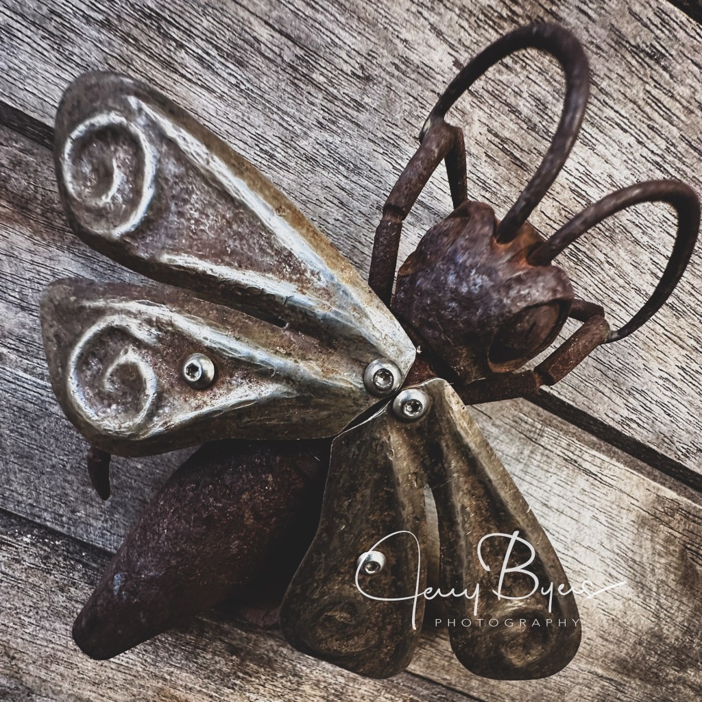 Life Lessons Learned from Photography and&nbsp;Writing