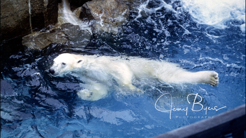 Understanding Camera Settings: Aperture, Shutter Speed, and&nbsp;ISO