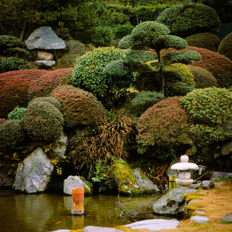 A Journey Back to Unzen: Capturing Tranquility on Medium&nbsp;Format